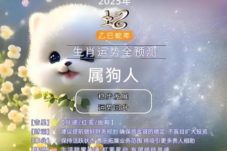 属狗人2025年运势、命运、婚姻与性格全解析