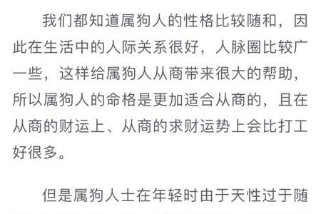 属狗人2025年运势、命运、婚姻与性格全解析