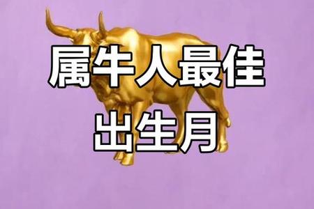 属牛人2025年05月29日运势、命运、婚姻与性格全解析